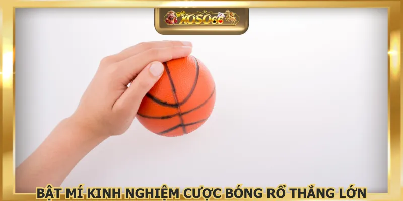 Bật mí kinh nghiệm cược bóng rổ thắng lớn