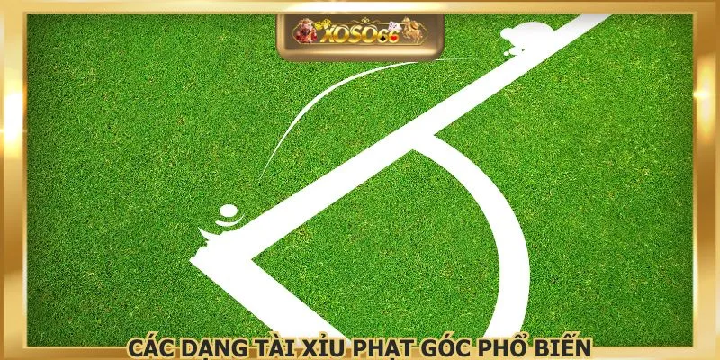 Các dạng tài xỉu phạt góc phổ biến
