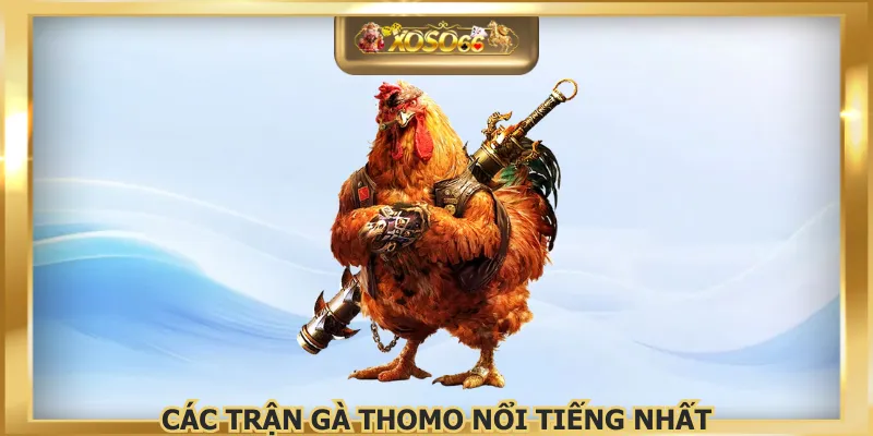 Các Trận Gà Thomo Nổi Tiếng Nhất Xem Để Thỏa Đam Mê