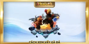 Cách Xem Vẩy Gà Đá Mẹo Nhận Biết Linh Kê Cực Kỳ Chuẩn