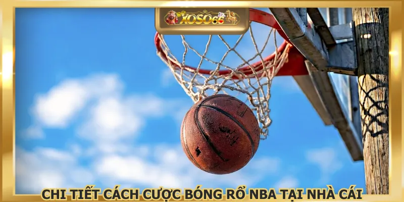 Chi tiết cách cược bóng rổ NBA tại nhà cái