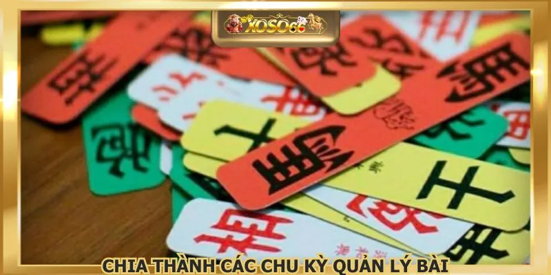Chia thành các chu kỳ quản lý bài