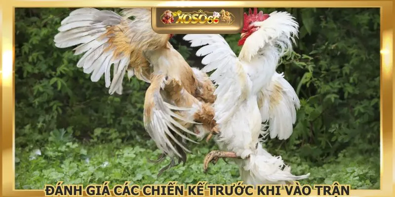 Đánh giá các chiến kế trước khi vào trận