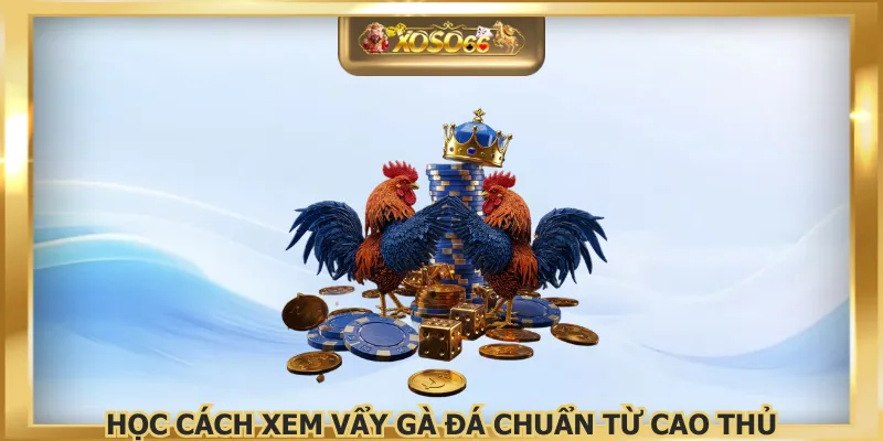 Học cách xem vẩy gà đá chuẩn từ cao thủ