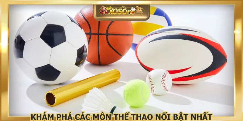 Khám phá các môn thể thao nổi bật nhất
