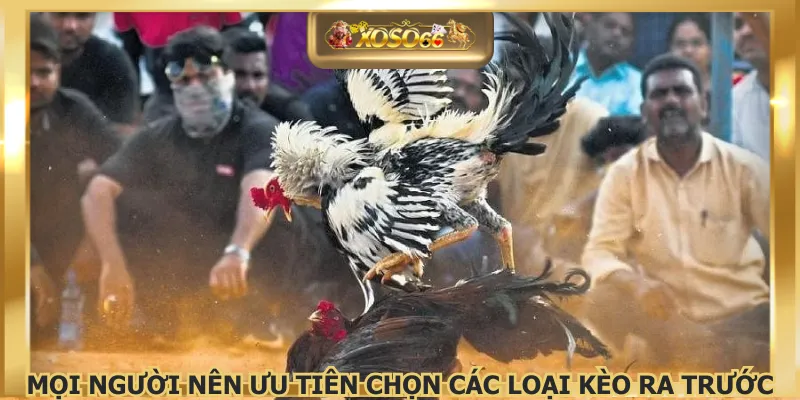 Mọi người nên ưu tiên chọn các loại kèo ra trước