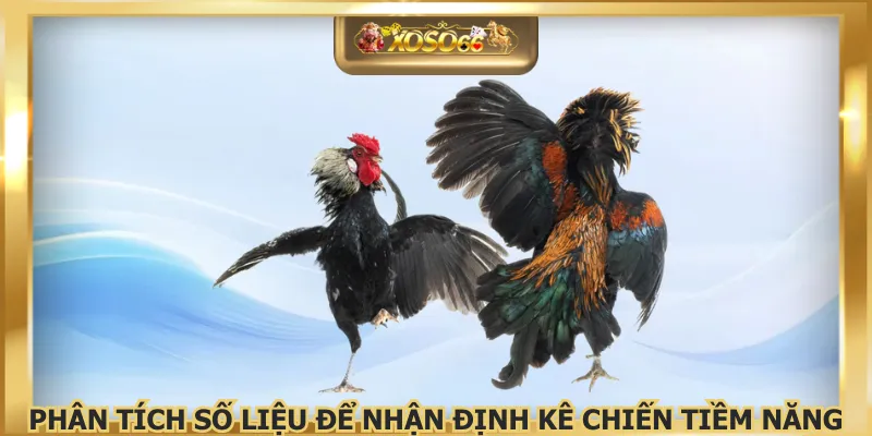 Phân tích số liệu để nhận định kê chiến tiềm năng