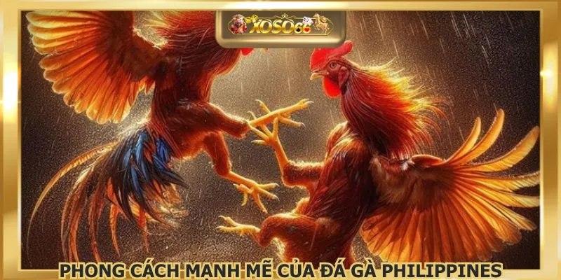 Phong cách mạnh mẽ của đá gà Philippines
