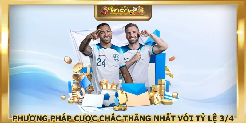 Phương pháp cược chắc thắng nhất với tỷ lệ 3/4