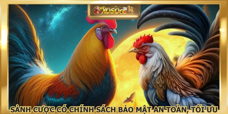 Sảnh cược có chính sách bảo mật an toàn, tối ưu
