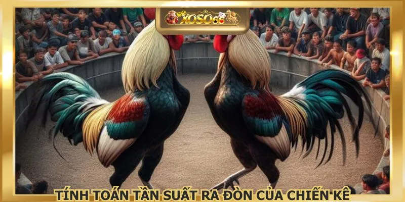 Tính toán tần suất ra đòn của chiến kê